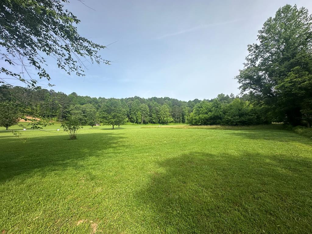 Lot 53 Brasstown Trails Property Photo 9