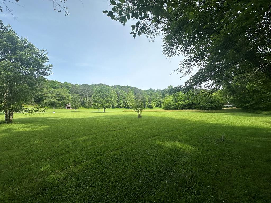 Lot 53 Brasstown Trails Property Photo 15