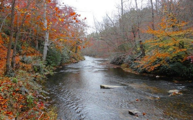 Lot 53 Brasstown Trails Property Photo 22
