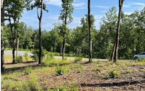Lot 119 Highland Park Property Photo 6