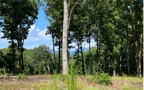 Lot 119 Highland Park Property Photo 7