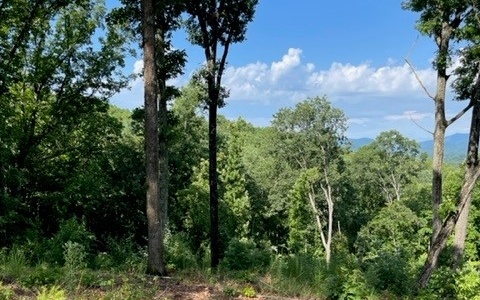 Lot 119 Highland Park Property Photo 8