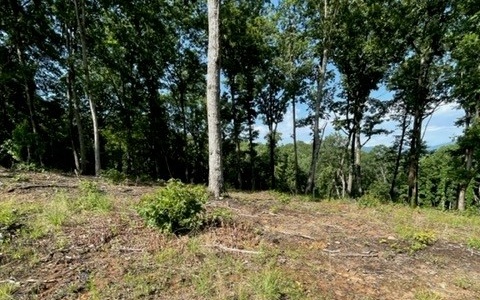 Lot 119 Highland Park Property Photo 10