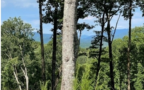 Lot 119 Highland Park Property Photo 15