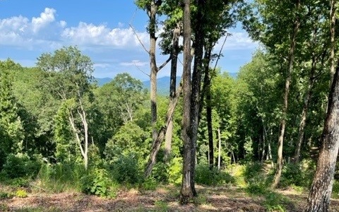 Lot 119 Highland Park Property Photo 16