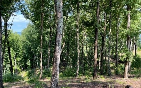 Lot 119 Highland Park Property Photo 17