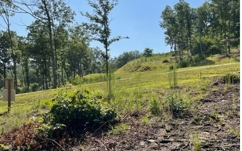 Lot 119 Highland Park Property Photo 27