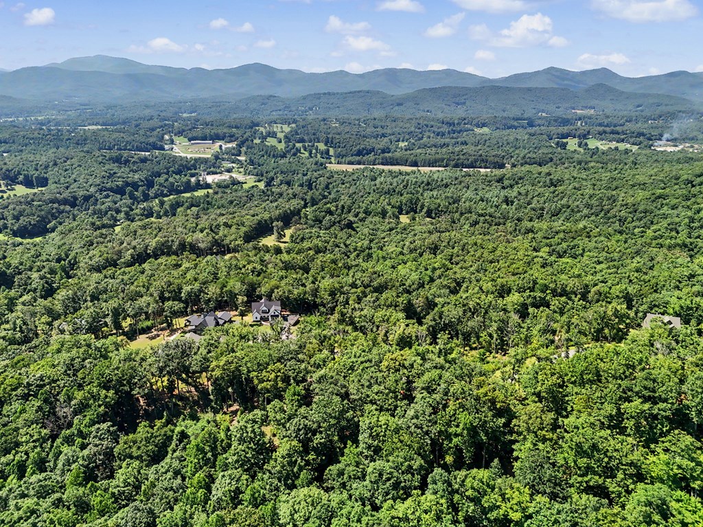 Lot 119 Highland Park Property Photo 33