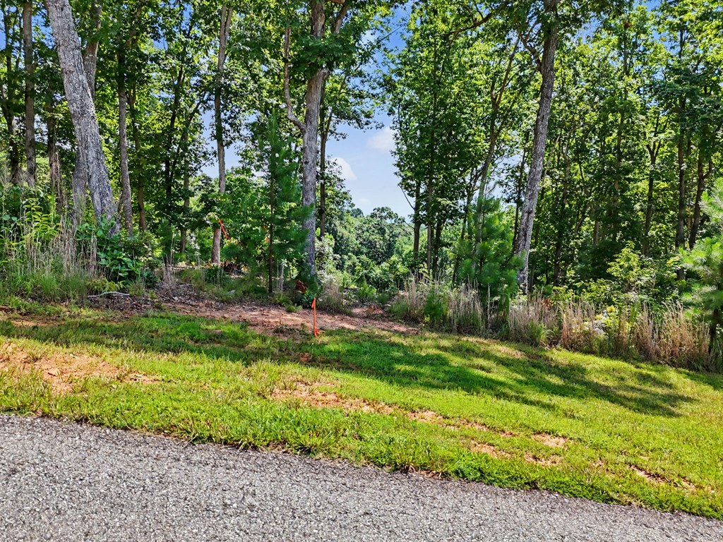 Lot 119 Highland Park Property Photo 34