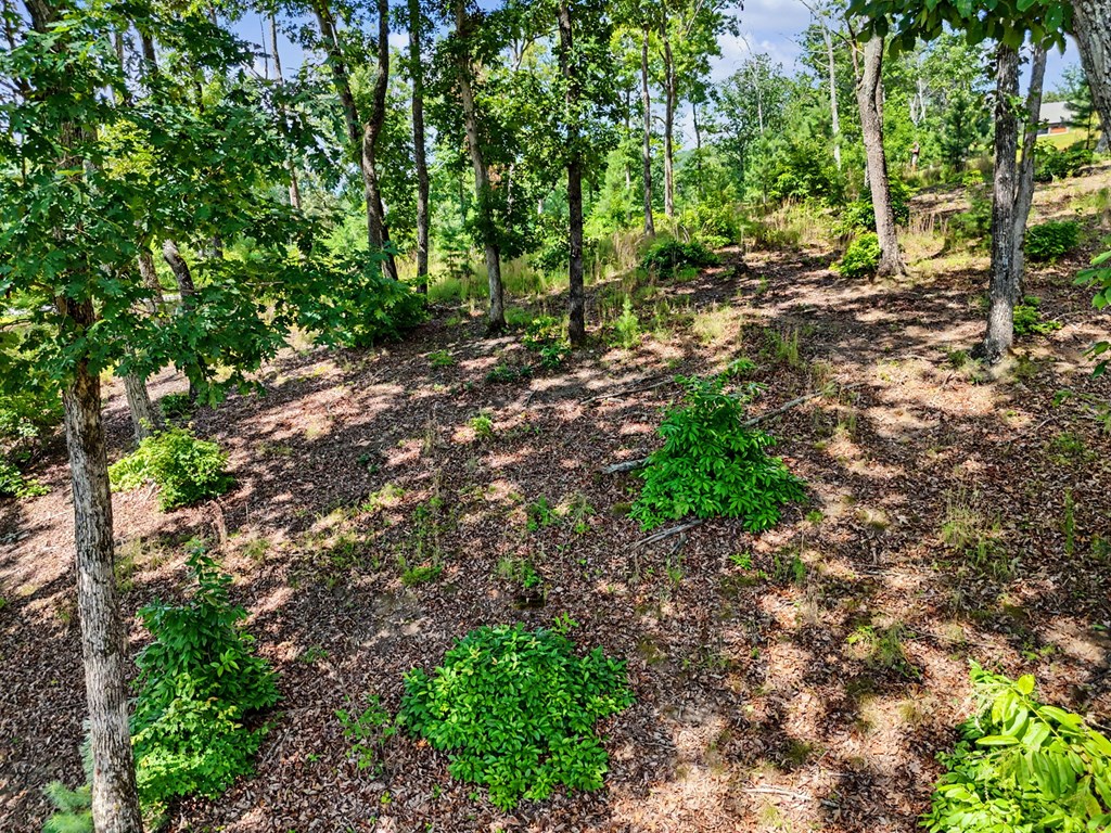 Lot 119 Highland Park Property Photo 37