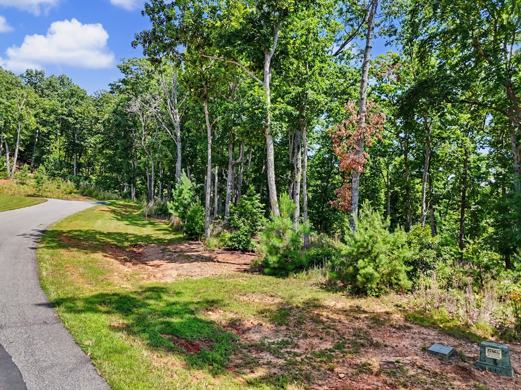 Lot 119 Highland Park Property Photo 39