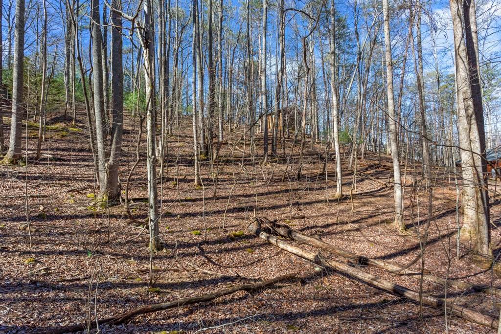 0 Sleepy Hollow Road Property Photo 3