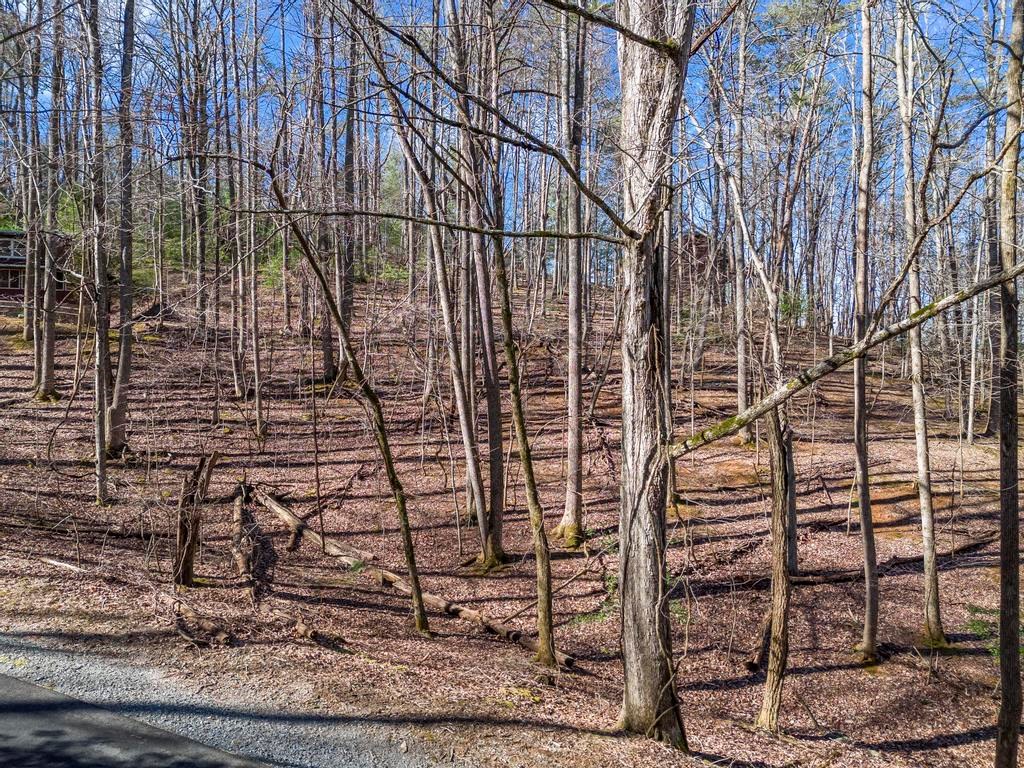 0 Sleepy Hollow Road Property Photo 4