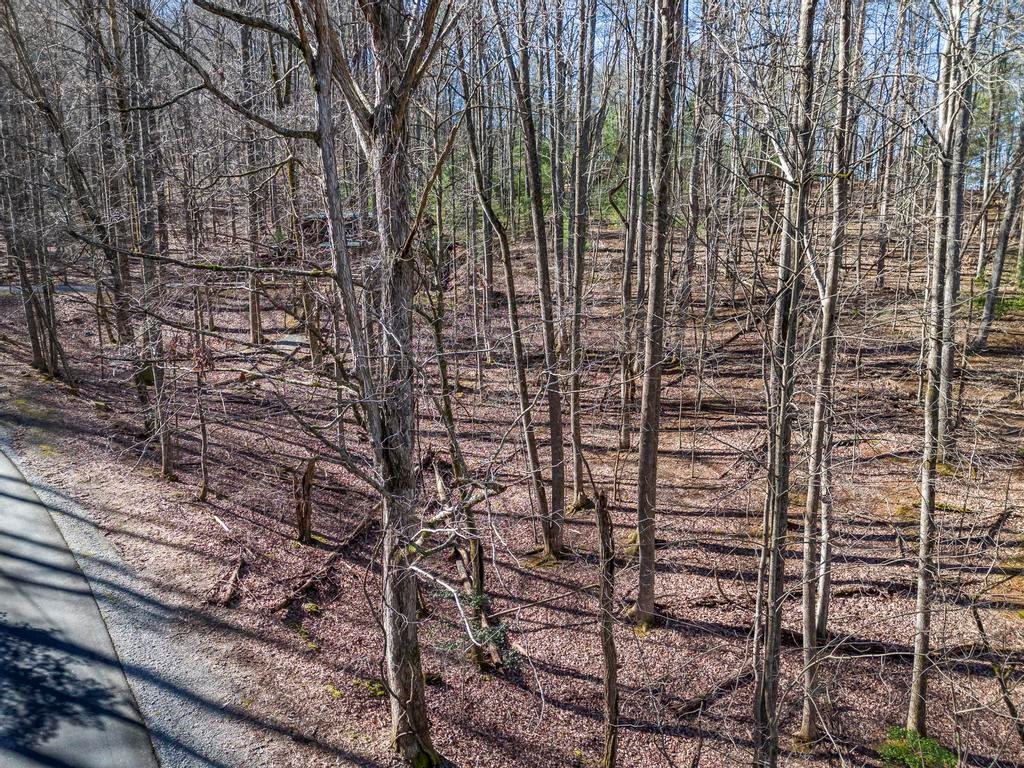 0 Sleepy Hollow Road Property Photo 5