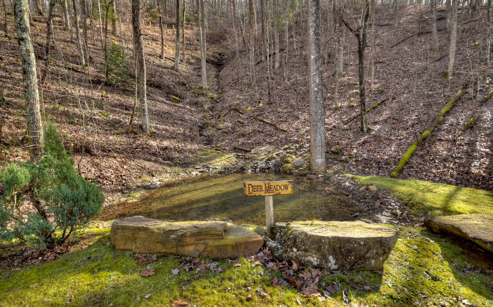 62 Old Covered Bridge Property Photo 38