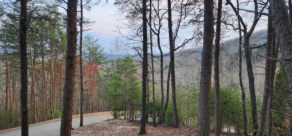 34 Wilderness Creek Way Property Photo 1