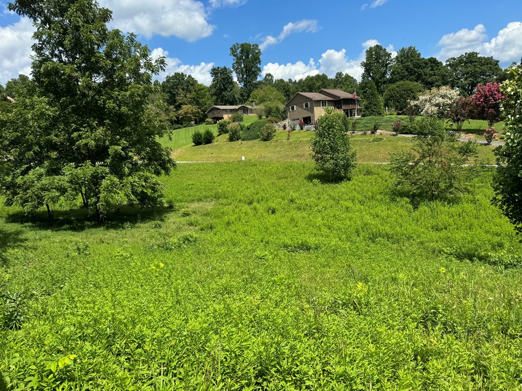 Lot 4 Chatuge Shores Overlook Property Photo 3