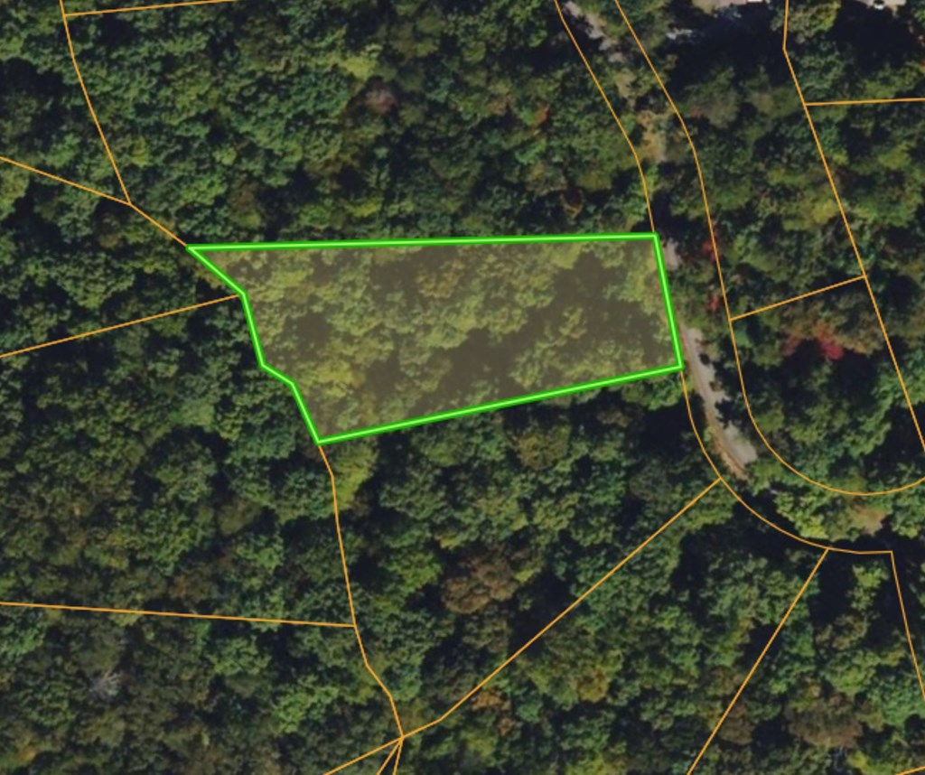 1162 Spalding Circle Property Photo 3