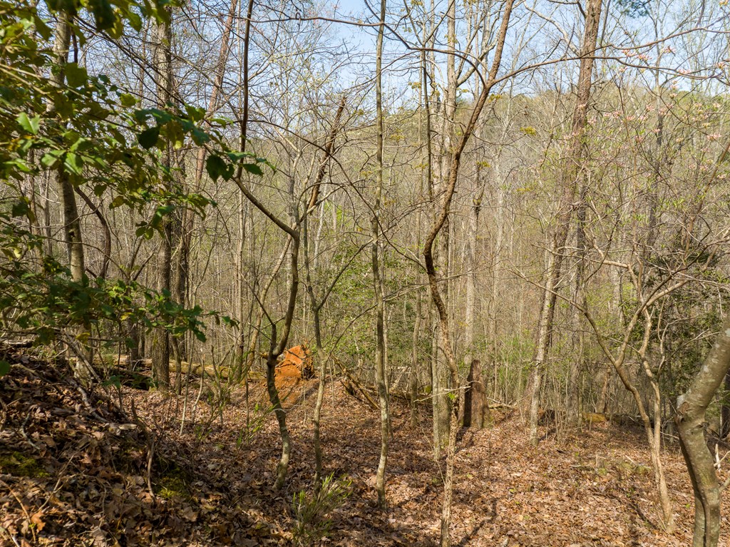 1162 Spalding Circle Property Photo 17