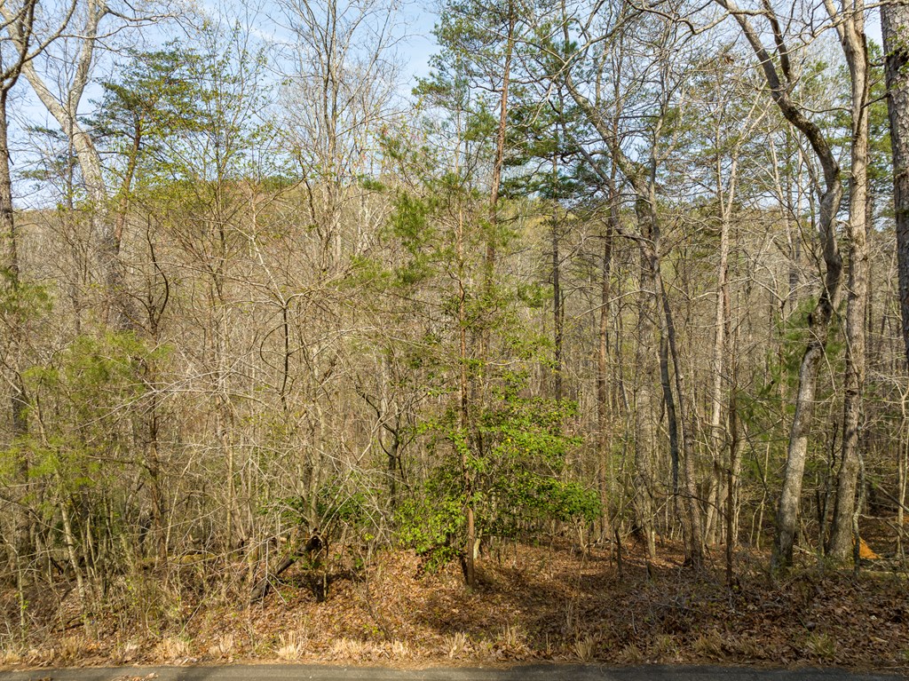 1162 Spalding Circle Property Photo 18