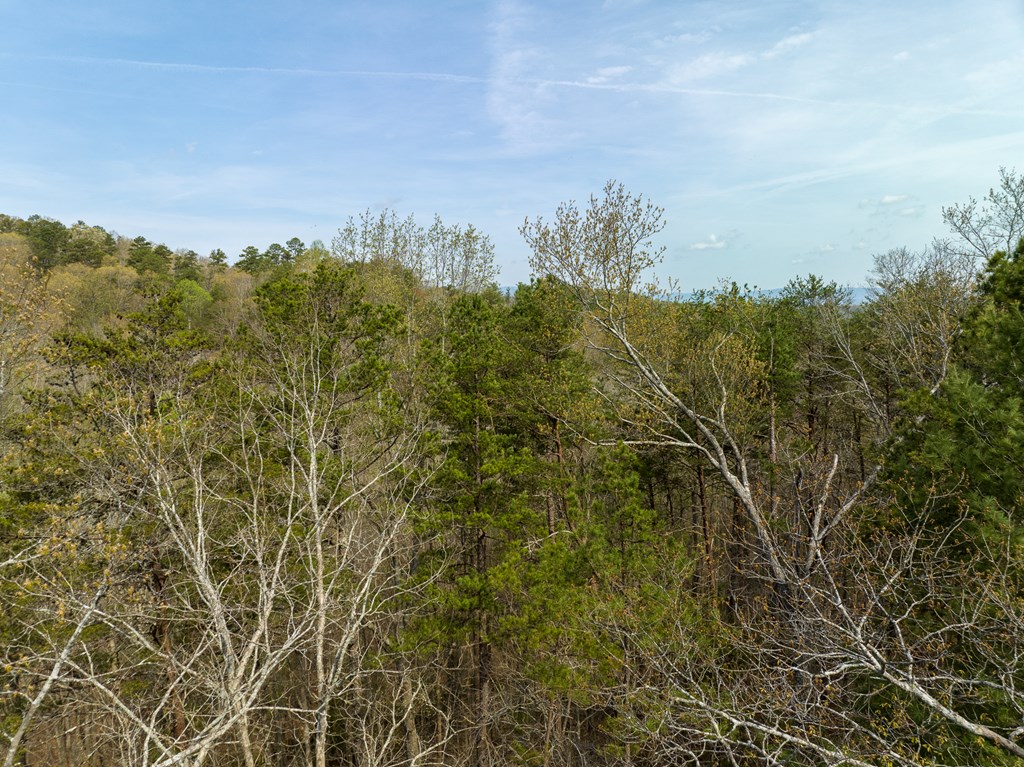 1162 Spalding Circle Property Photo 19