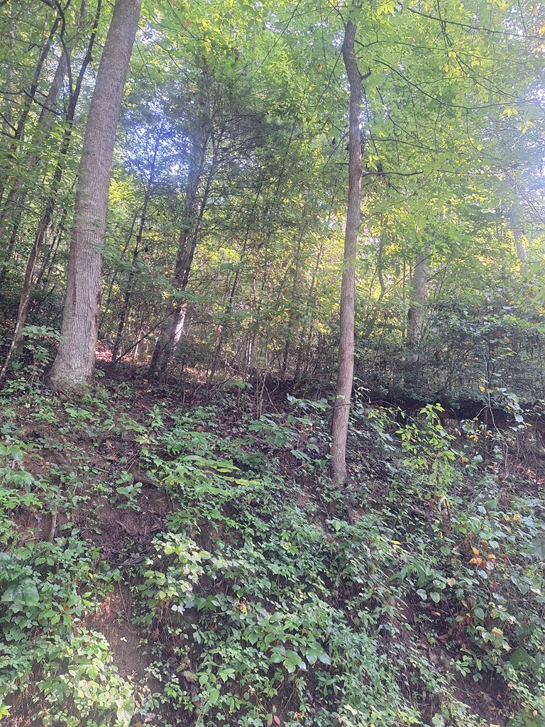0 Coopers Creek Property Photo 2