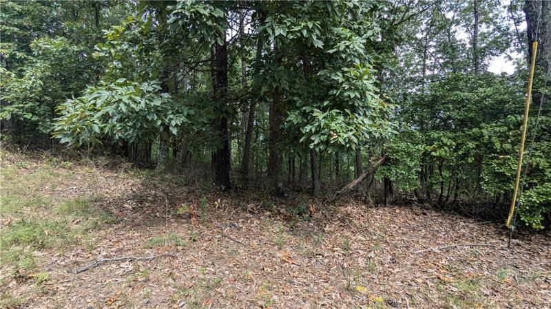 278 Adair Drive Property Photo 4