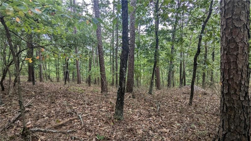 278 Adair Drive Property Photo 8