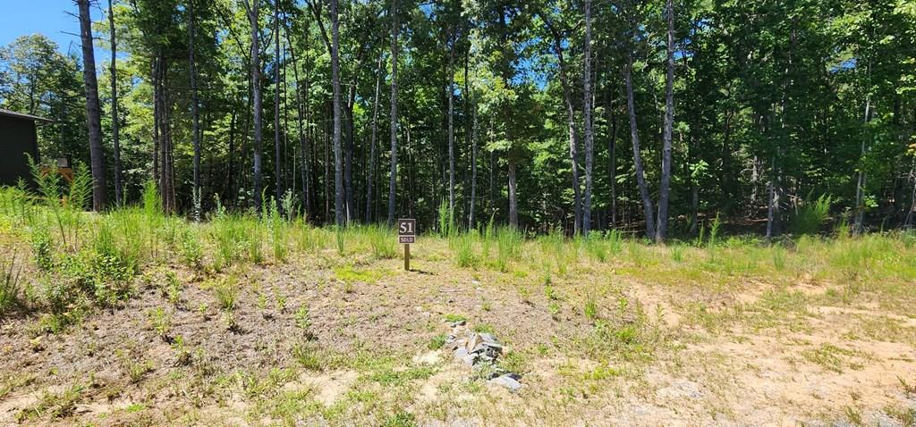 Lot 51 Ridge Drive Property Photo 1