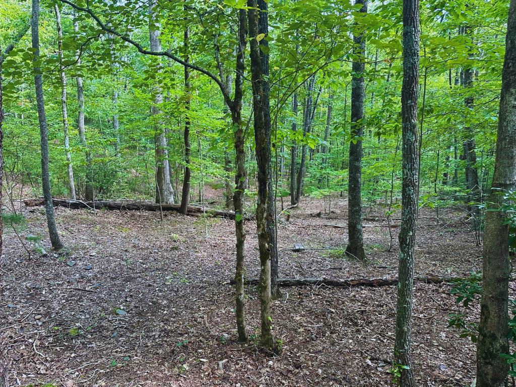 Lot 57 Asheland Cove Drive Property Photo