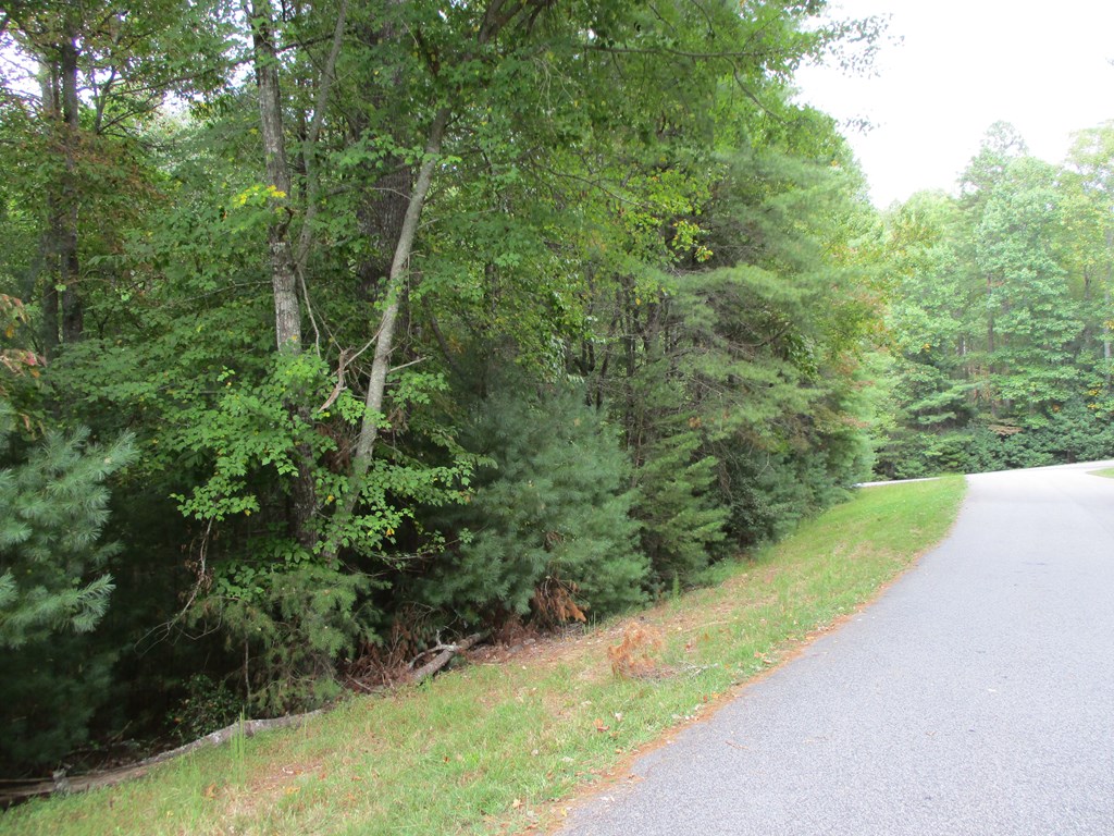 Lot 25 Byers Road Property Photo 5