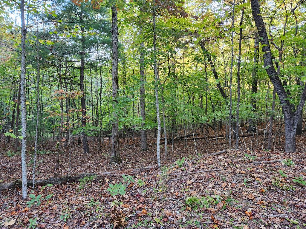 0 North View Trail Property Photo