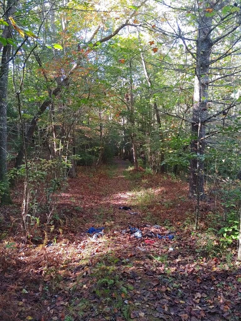 0 Kaleb Trail Property Photo 1