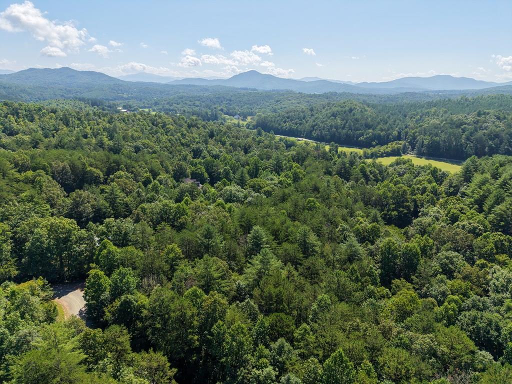 Lot 6 Willow Ridge Property Photo 1