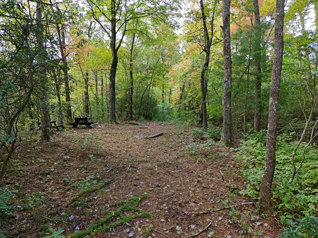 00 Mill Creek Property Photo 34