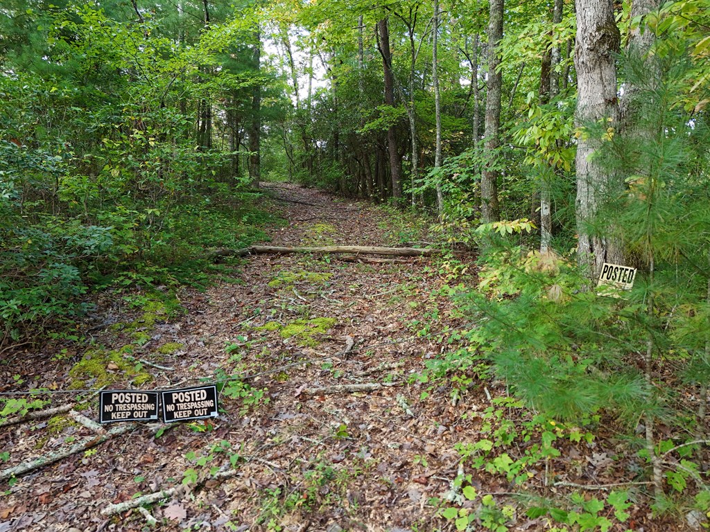 00 Mill Creek Property Photo 35