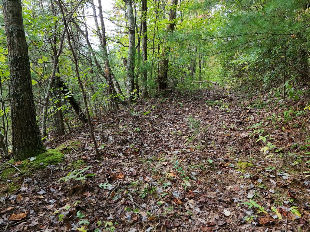 00 Mill Creek Property Photo 36