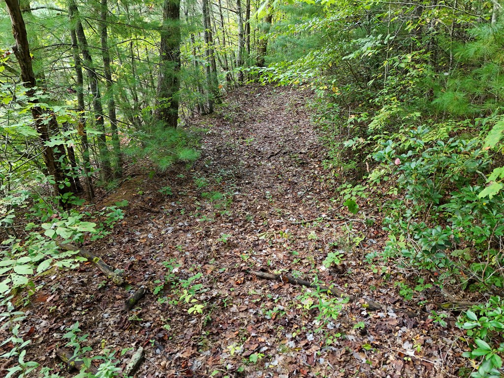 00 Mill Creek Property Photo 37
