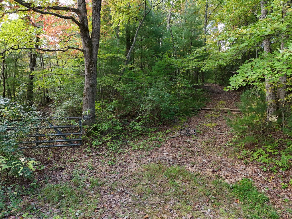 00 Mill Creek Property Photo 40