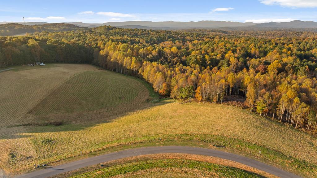 Lot 25 Bravo Way Property Photo 2