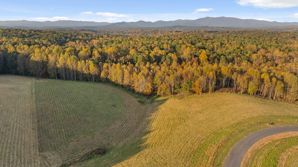 Lot 25 Bravo Way Property Photo 4