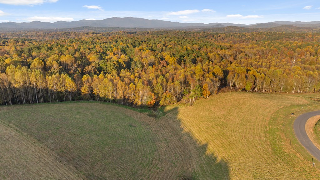 Lot 25 Bravo Way Property Photo 8