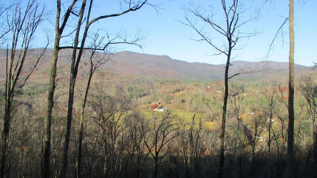 Lot 20 Fly Cast Overlook Property Photo