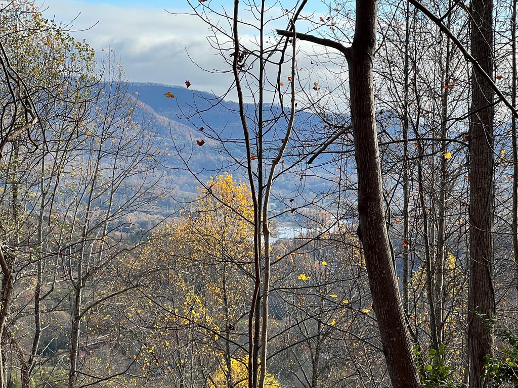 Tract 1 Hidden Summit Road Property Photo