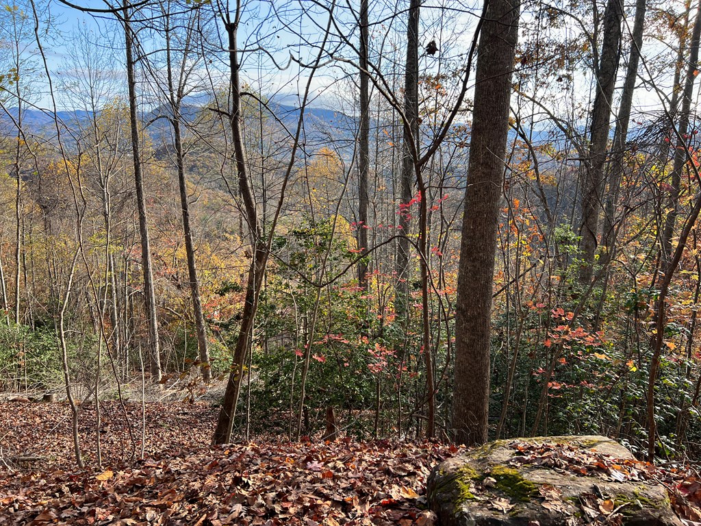 Tract 1 Hidden Summit Road Property Photo 15