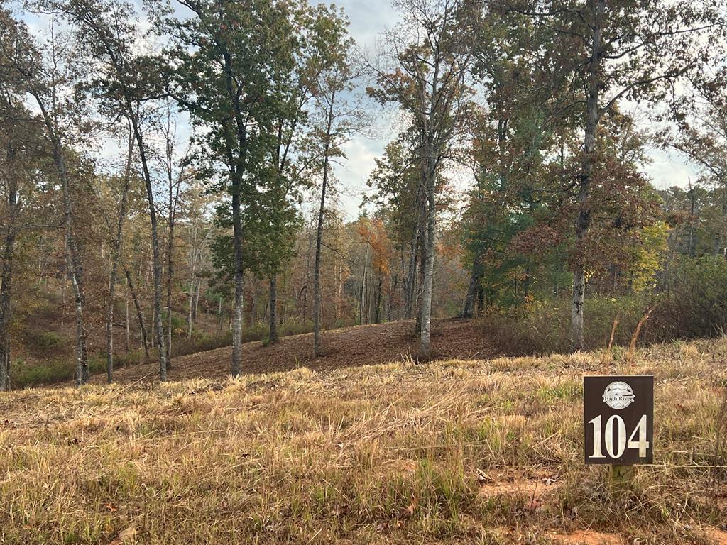 Lot 104 High River Road Property Photo 1