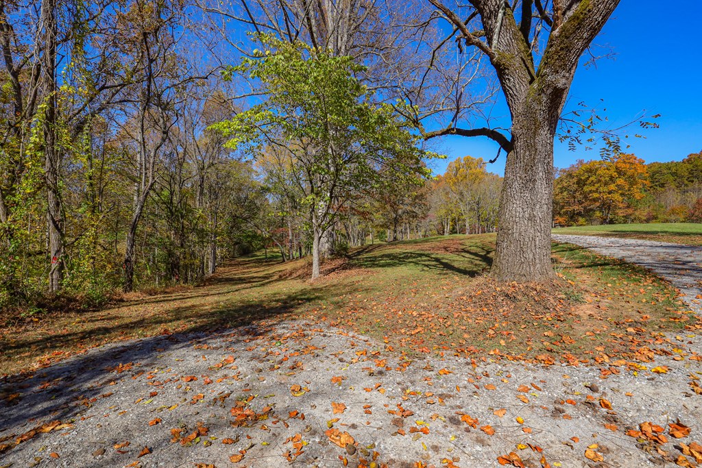 Lot 8 Hinton Overlook Property Photo 20