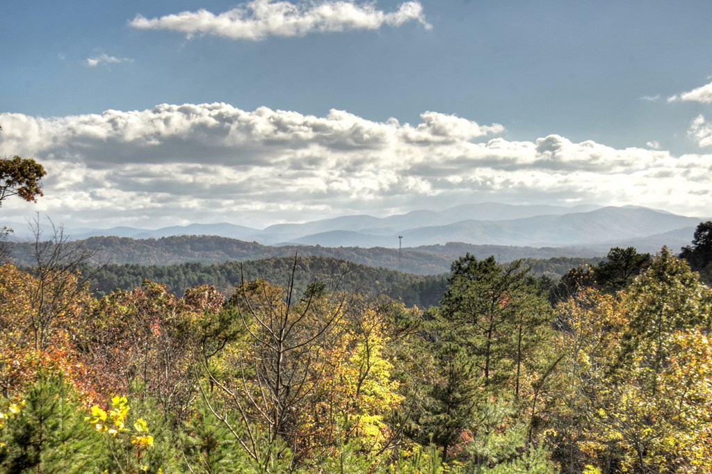 1030 Bear Mountain Pass Property Photo 31