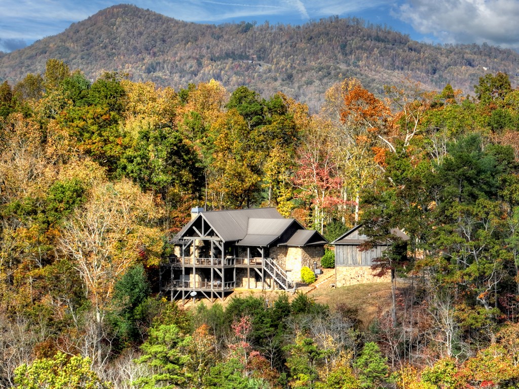 1030 Bear Mountain Pass Property Photo 52