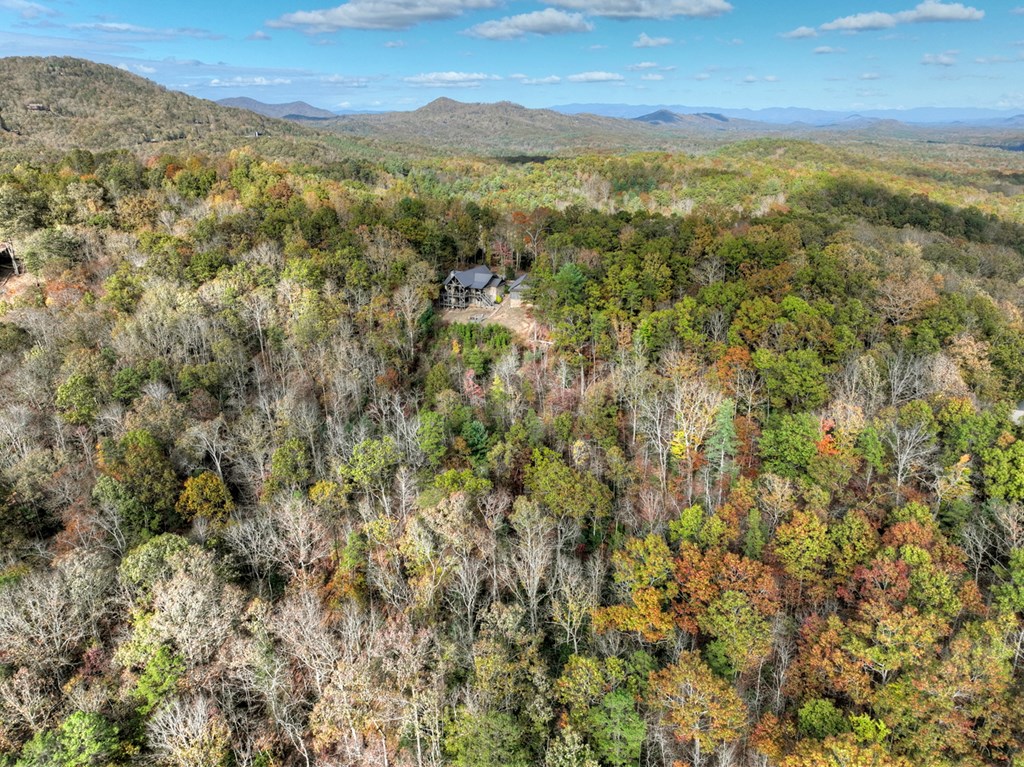 1030 Bear Mountain Pass Property Photo 53
